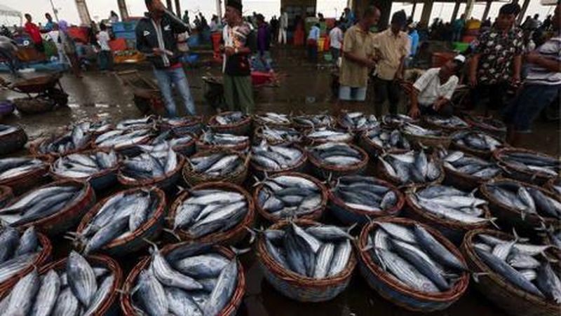 Kalimantan Barat dipercaya pemerintah pusat untuk menggelar Festival Ikan dan Lomba Masak Ikan Nusantara.