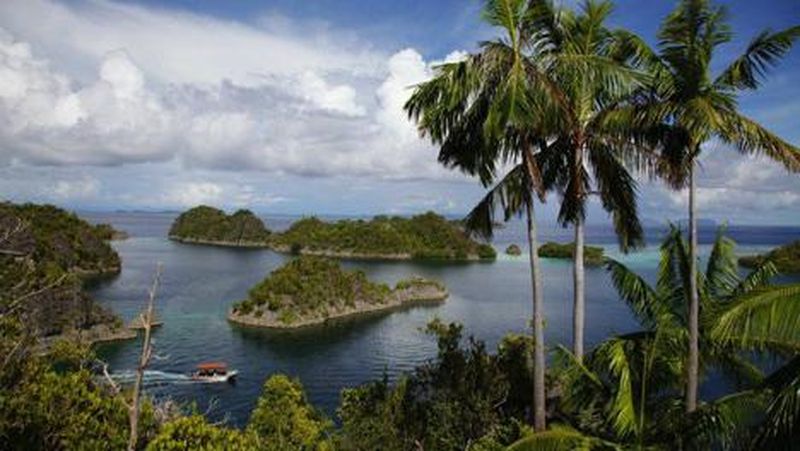 Kementerian Pariwisata (Kemenpar) mendukung penuh pelestarian budaya di Papua.