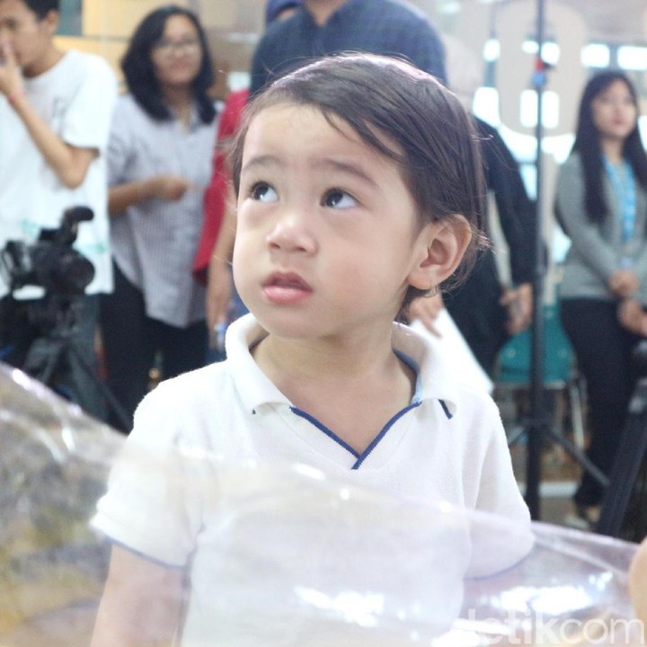 <p>Kalau ini Rafathar lagi ngelihatin apa nih?</p>