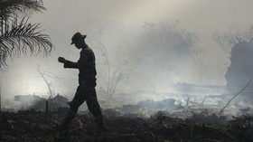 Ketua Satgas Karhutla Jambi Perintahkan Tembak Pembakar Lahan