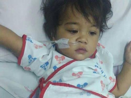 Jantung Bocor Sejak Lahir, Batita Pekalongan Ini Butuh Biaya Pengobatan Jantung Bocor Sejak Lahir, Batita Pekalongan Ini Butuh Biaya Pengobatan
