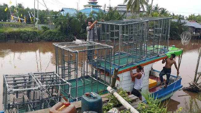 Tim Jurusan Ilmu Kelautan dan Perikanan Politeknik Negeri Pontianak mencoba memodifikasi bubu penangkap ikan supaya lebih canggih menangkap ikan.