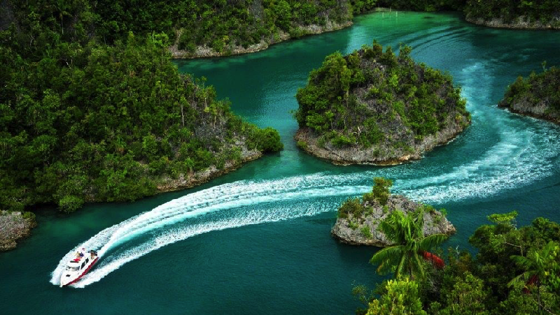 Pesona underwater Indonesia memang tidak perlu diragukan lagi.