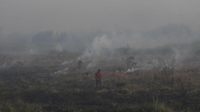 Lima provinsi, satu Kabupaten di Aceh, dan tiga kabupaten di Jambi telah menetapkan status siaga darurat penanganan bencana asap.