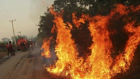 Atasi Kebakaran Hutan, Wiranto Imbau Peladang Ubah Tradisi