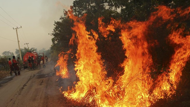 Mekopolhukam Wiranto menyebut tradisi bakar lahan yang biasanya dilakukan masyarakat jelang musim hujan mesti diubah untuk kurangi angka kebakaran hutan.