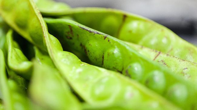 Petai, 'Si Bau' yang Kini Go International Petai bisa dibilang bernasib sama seperti durian. Bagi sebagian orang, rasanya enak, namun tak tahan akan baunya. Tapi kiprah petai ternyata sudah mendunia.