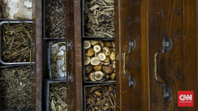 Pemanfaatan obat herbal untuk mengobati kanker belum dapat dilakukan. 