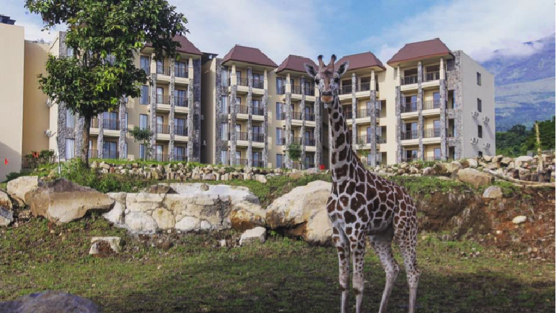 Taman Safari Indonesia (TSI) II Prigen, Pasuruan, Jawa Timur meresmikan Baobab Safari Resort.