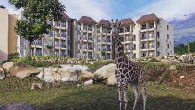 Taman Safari Indonesia II Resmikan Resor Bergaya Afrika