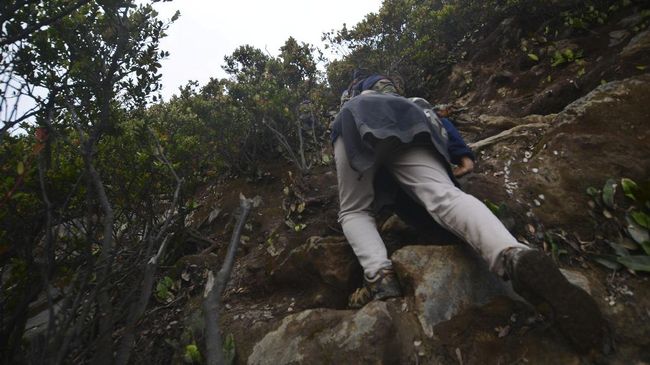 Seorang warga asal Palangka Raya, ditemukan selamat setelah dinyatakan hilang sepekan di Gunung Muro.