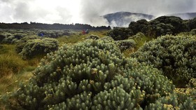 Muncul 'Blue Fire', Kunjungan Wisata ke Gunung Papandayan Dibatasi