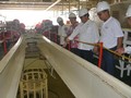 Makna Palapa Ring, Proyek 'Tol Langit' Indonesia