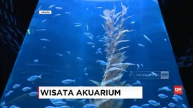 Menikmati 'Alam Bawah Laut' di dalam Mal Jakarta