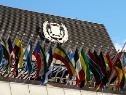Ikut Sidang IMO London, RI Bahas Penurunan Emisi di Industri Pelayaran