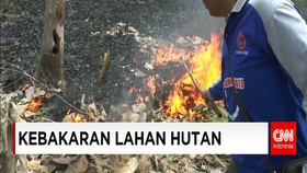 Kebakaran Lahan Hutan