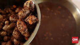 4 Tanaman Obat yang Bisa Ditanam Sendiri di Rumah