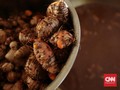 Jamu untuk Daya Tahan Tubuh: Dosis dan Cara Penyajian