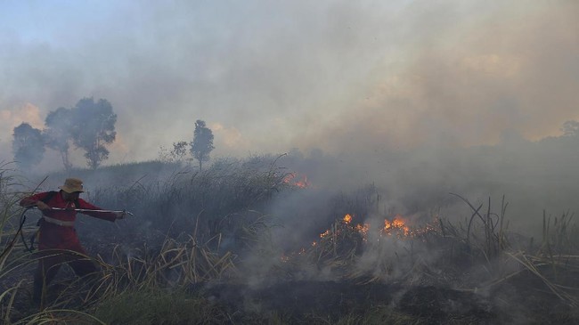 Polda Sumut menyiapkan satgas khusus menangani insiden kebakaran hutan dan lahan jelang pelaksanaan Asian Games agar kejadian 2016 tak terulang kembali.