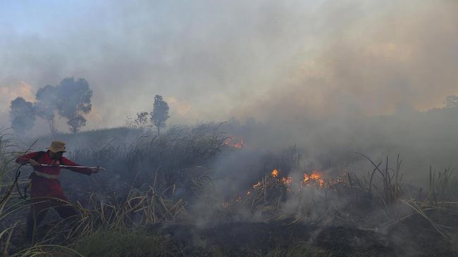 Dana 'Panas' Sawit Maybank Rp34 T Rusak Hutan Indonesia Maybank, bank raksasa asal Malaysia, menyalurkan Rp34 triliun kepada perusahaan sawit yang diduga terlibat dalam perusakan hutan sepanjang 2010-2016.