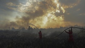 Kemarau, 13 Provinsi Rawan Kebakaran Lahan dan Hutan