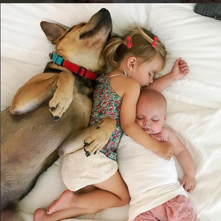 Sst! Si kecil lagi tidur sama anjingnya. Akurnya. (Instagram: @mommasgonecity)