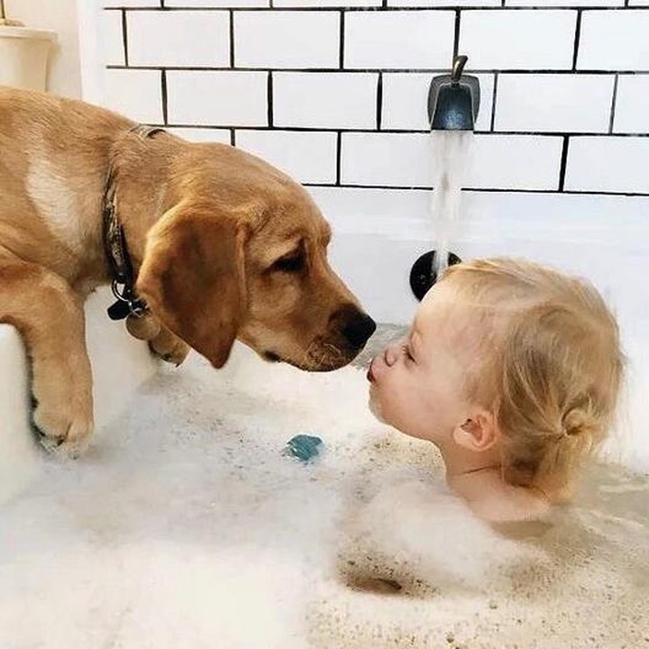 Nah, yang ini anak kecil mandi bareng anjing kesayangannya. Lucu nggak, Bun?  (Instagram: @suzebeaup)