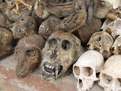 5 Pasar Unik di Dunia, Beli Istri Sampai Daging Ekstrem