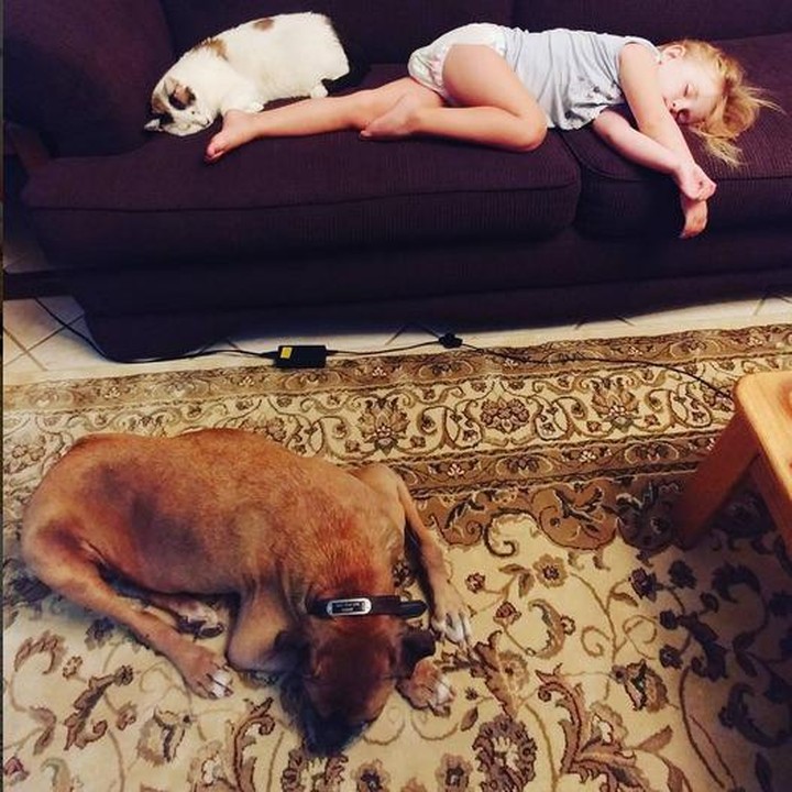 Ya ampun Bun, lucu banget nggak sih kucing, anjing dan si kecil kompak banget tidurnya (Instagram: @iamtamisharp)