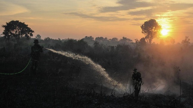 Kebakaran berlangsung sejak pukul 15.00 WIB dan membakar empat hektare lahan Kawasan lereng Taman Nasional Gunung Ciremai (TNGC) Kabupaten Kuningan, Jawa Barat.