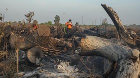 260 Hektare Lahan Gambut di Rokan Hilir Kembali Terbakar