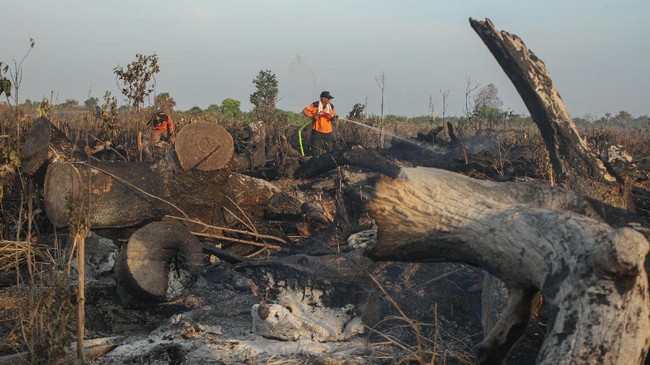 Pemberian insentif bagi desa, diklaim pemerintah, sangat efektif untuk mengurangi jumlah titik api kebakaran hutan.