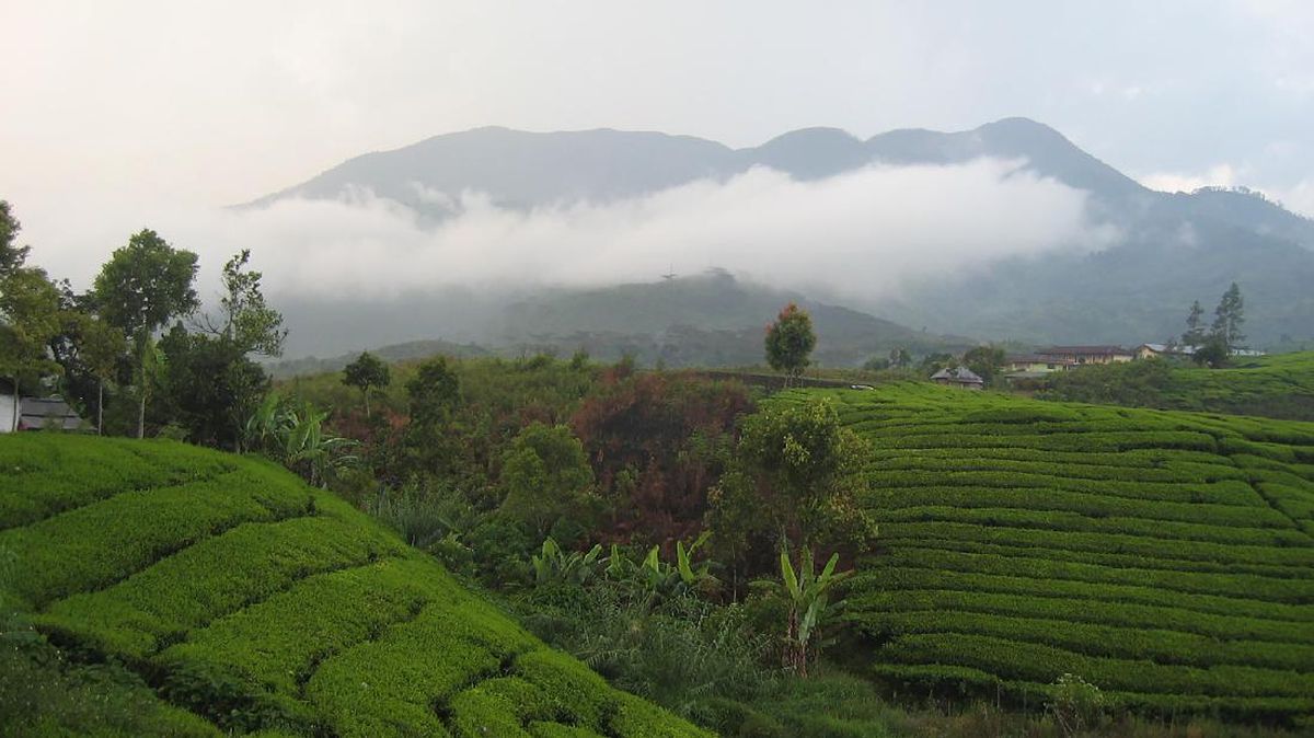 Aktivitas Kegempaan Gunung Talang Meningkat Usai Gempa Solok