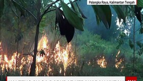 Kalteng Siaga Darurat Kebakaran Hutan
