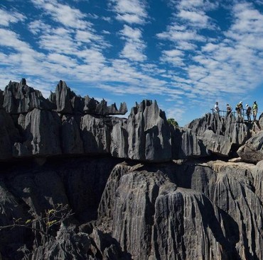 Fakta Hutan Batu Berbentuk Jarum hingga Warna Dominan di Alam Semesta