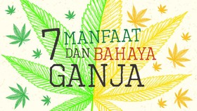 Tujuh Manfaat dan Bahaya Ganja