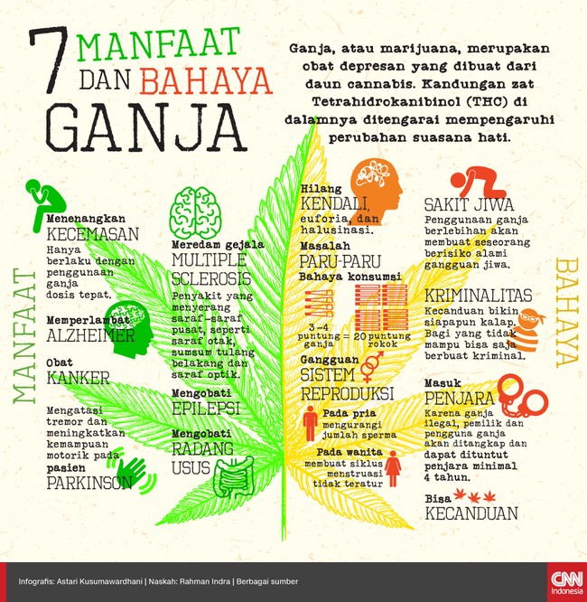 Ganja atau marijuana, merupakan obat depresan yang dibuat dari daun cannabis. Selain bermanfaat, ganja juga membawa banyak efek negatiff.