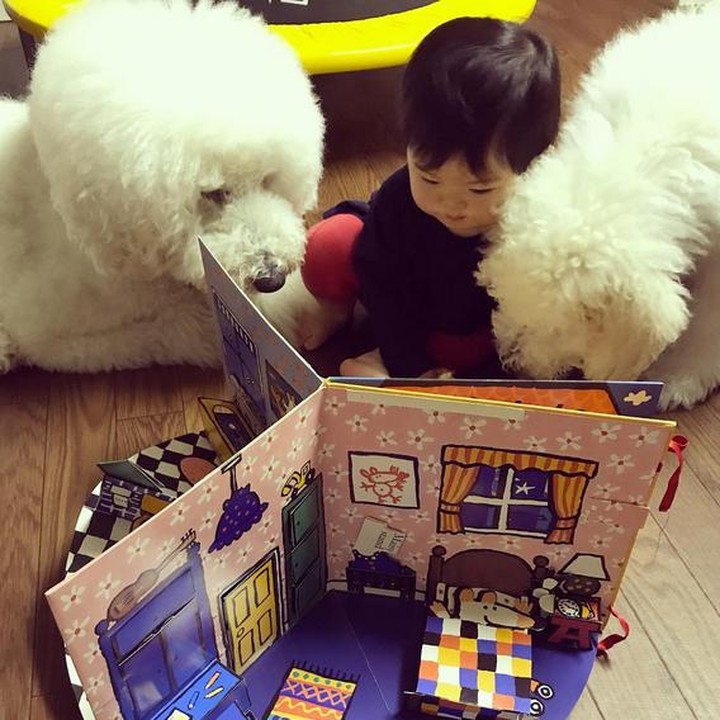 <div>Mame serius banget. Lagi bacain cerita apa sih untuk dua anjing pudelnya? (Foto: Instagram/ @tamanegi.qoo.riku)</div><div> </div>
