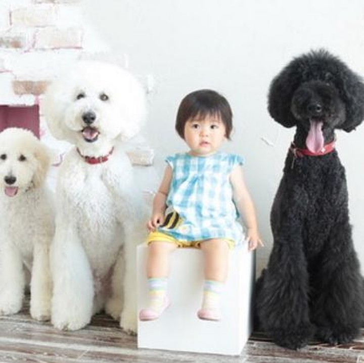 Mame berpose dulu ya sama Qoo (10), Riku (8), dan Gaku (5 bulan) (Foto: Instagram/ @tamanegi.qoo.riku)
