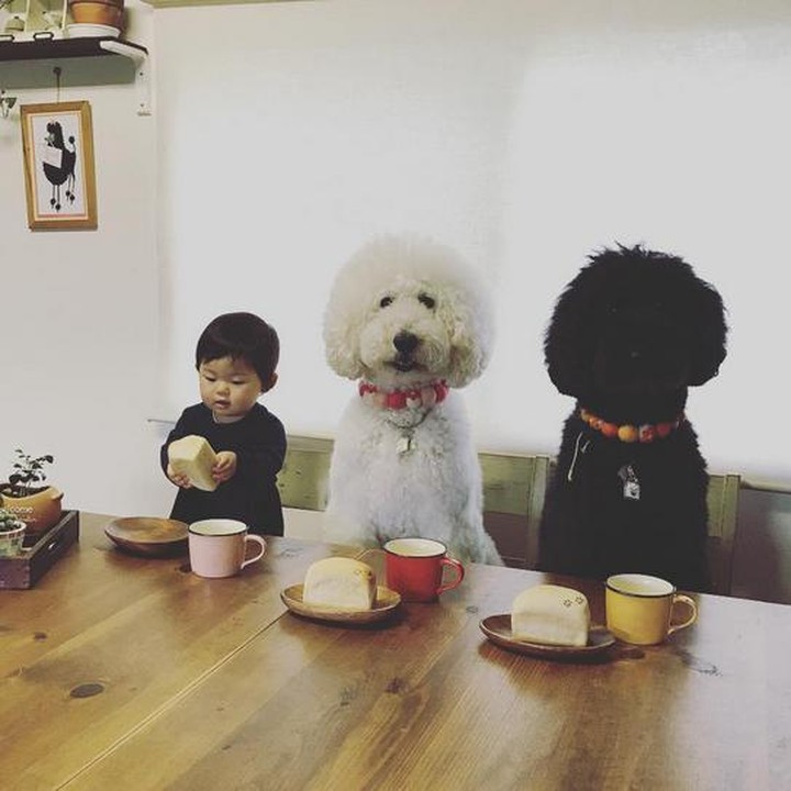 Untuk urusan makan pun, mereka kompak banget. (Foto: Instagram/ @tamanegi.qoo.riku)