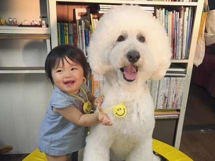 Foto: <i>Gemesin</i> Banget! Kedekatan Balita Sama Anjing Pudelnya