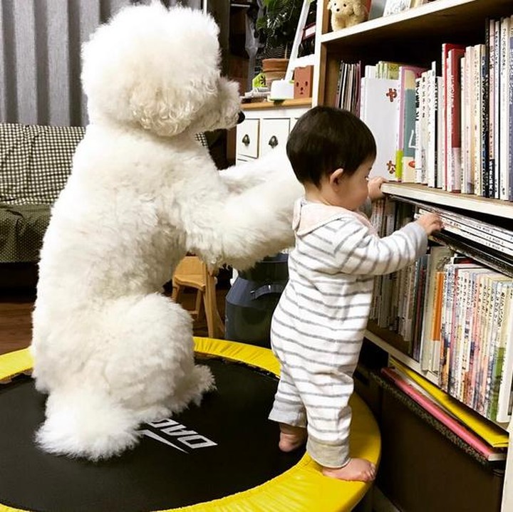 <div>Hmm, buku mana ya yang mau dipilih? (Foto: Instagram/ @tamanegi.qoo.riku)</div><div> </div>