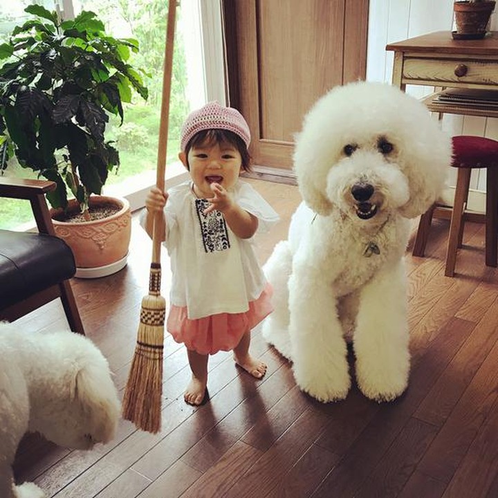 Mame mau ngajak anjing pudelnya bersih-bersih rumah ya? (Foto: Instagram/ @tamanegi.qoo.riku)