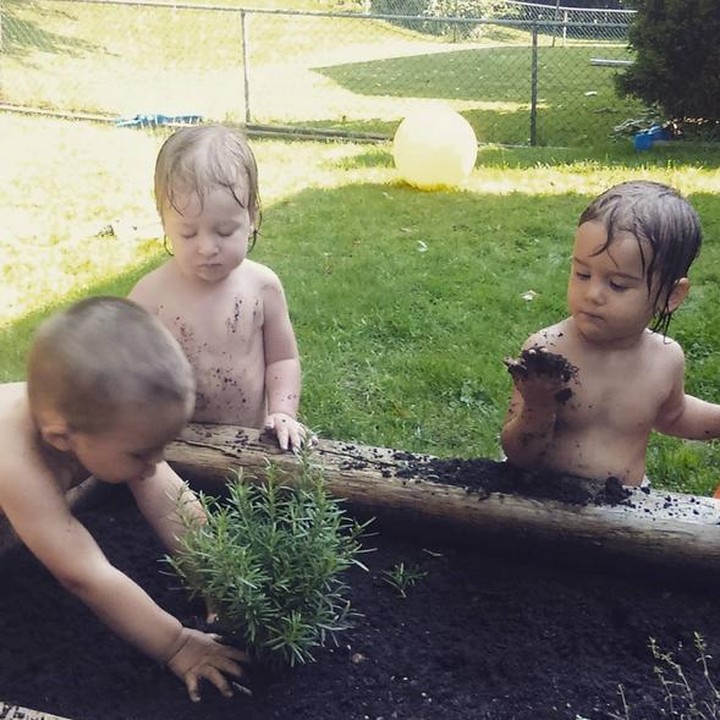 <p>Kompaknya trio pekebun cilik ini, yang satu menanam tanaman, yang satu mengawasi, satunya lagi mau makan tanah. Kocak! (Foto: Instagram @krislekin)  </p>