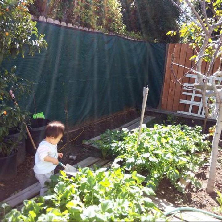 <p>Kebunnya luas tapi si kecil ini hebat lho berkebun sendirian. (Foto: Instagram @happyleemummy)</p>