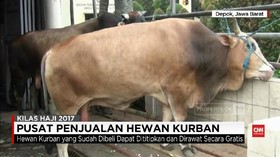 Di Depok Hewan Kurban Dijual di Mal