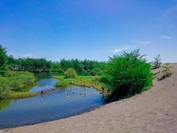 Dua Pelajar Hilang Terseret Ombak Pantai Laguna Kebumen