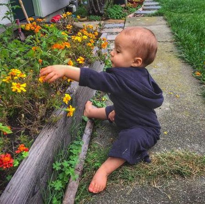 <p> Cie, cie itu bunga untuk siapa sih? Buat bunda ya? (Foto: Instagram @acacia_quien)  </p>