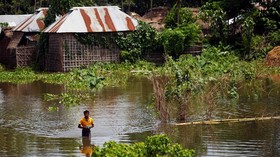 Kawanan Gajah Bantu Evakuasi Turis dari Banjir Nepal