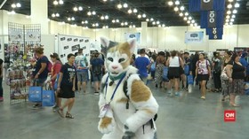 VIDEO: Festival CatCon, Ajang Berkumpul Pecinta Kucing Dunia